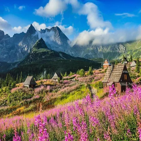 Holiday home Highlander With A Fireplace, Zakopane